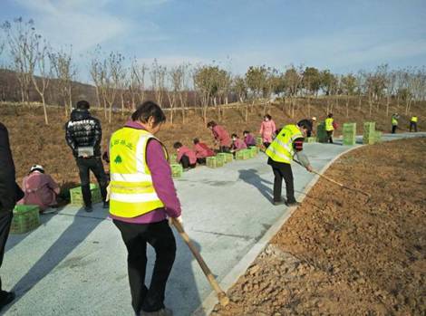 2020年3月灞河产业带绿化提升工程蓝田县金润扶贫造林专业合作社负责施工 (2)